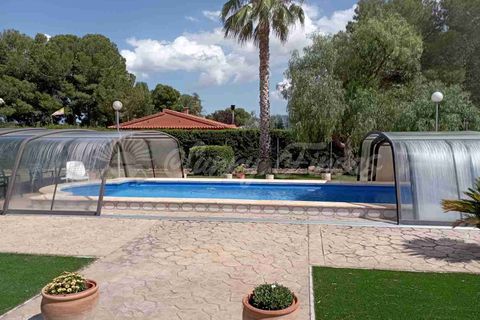Landejendom i Yecla, Murcia, Yecla - € 480.000 | Ref: SF0501 - foto 31